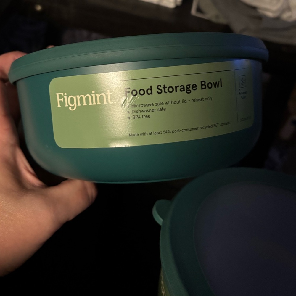 2 Figmint Teal Food Storage Bowl